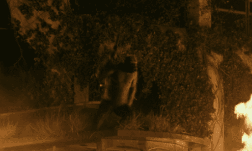 ori/24/08/08/1912da892fb536f77.gif