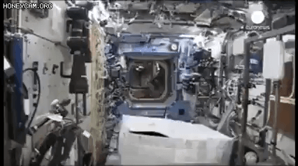ori/25/03/03/1955c11af3b4fc086.gif
